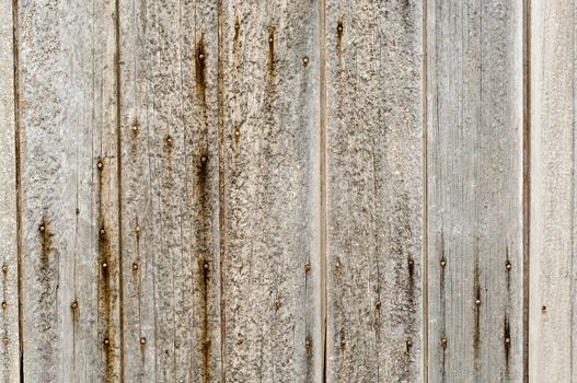 great background texture of old grungy wood