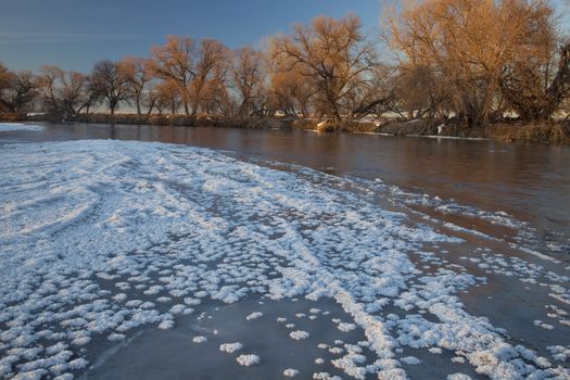 partially frozen South Platte River below Denver near Greeley, typical view with riparian cottonwoods and farmland in eastern Colorado