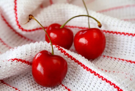 Fresh ripe cherries on a red and white dish towel.
