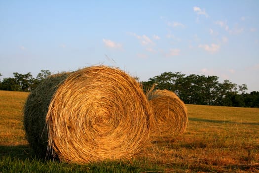 Hay bales on a late summers evening out in the country.