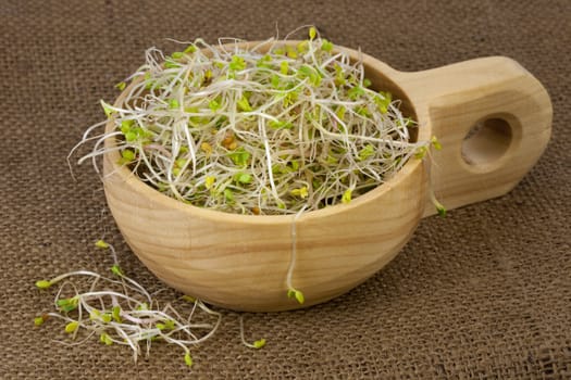 broccoli, radish and clover sprouts in a wooden rustic bowl, burlap background