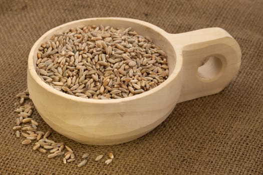 rye grain on a rustic, wooden scoop against brown burlap background