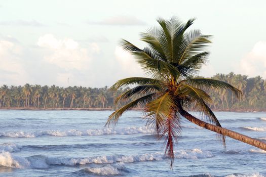 Shot of the caribbean beach by evening