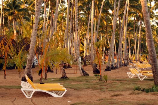 Caribbean strand with chairs and sport place by the evening