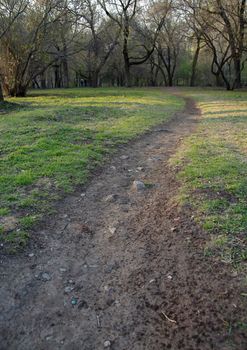 Park foot-path going away