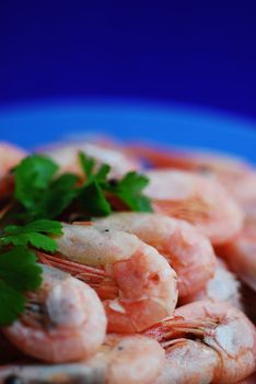 Shrimp close up