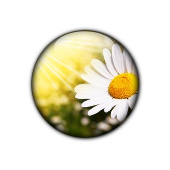happy an lucky flower for internet page showing spring concept