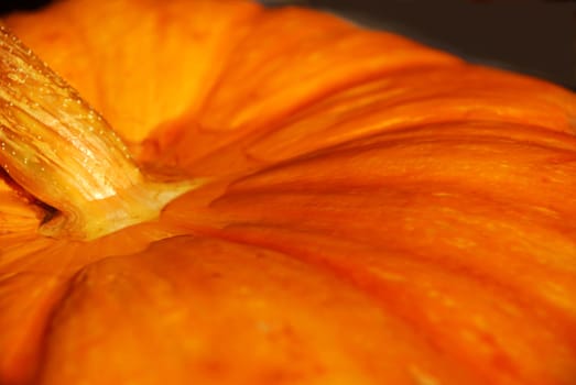 Top of pumpkin on black background.