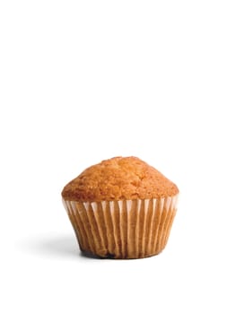 A single muffin over white background.