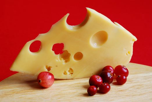 Piece of cheese on a red background