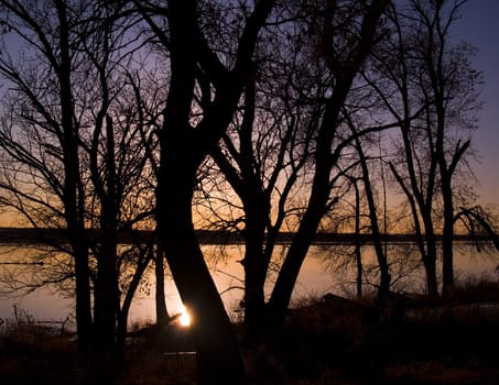 Flood on the James River with an abstract pattern of branches and sun on the water.