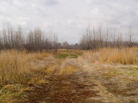 A set of tire tracks leading into a rural landscape.