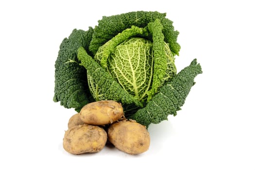 Single green cabbage with a small pile of brown unpeeled potatoes on a reflective white background