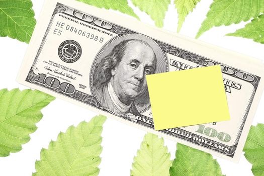 Post it note in dollar with green leaf background