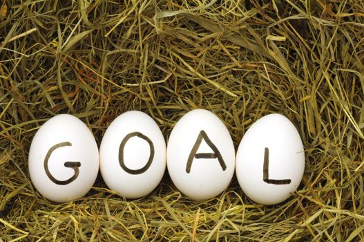 goal or business achivement concept with eggs on straw