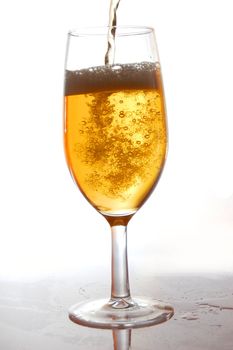 glass of fresh beer with bubbles on white