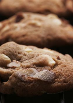 Cookie Biscuits With White Chocolate And Nuts On Oven Rack