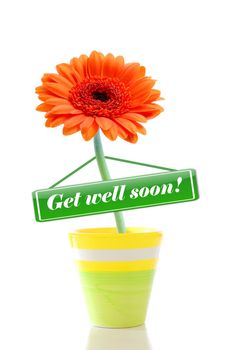 get well soon greeting card with flower isolated on white background