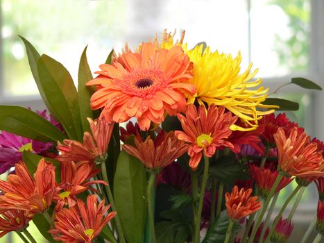 bouquet of gerbera daisies and yellow mums