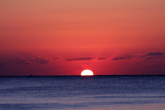 Ocean Sunrise - Australia - Background