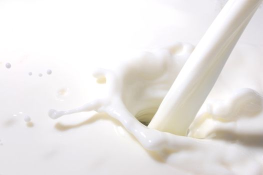 milk splashes with many drops into fresh milk
