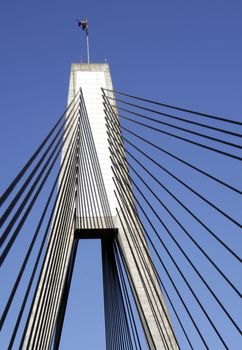 Anzac Bridge, Sydney, Australia: ANZAC Bridge is the longest cable-stayed bridge in Australia, and amongst the longest in the world.