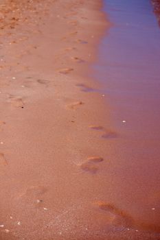 At the beach, the sand visible imprints of human bare feet.