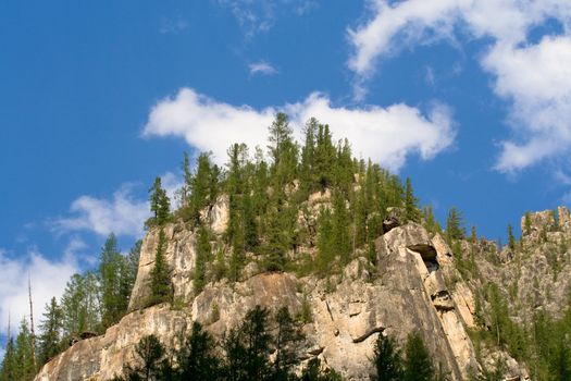 Mountain panorama: sky, rock and forest 
