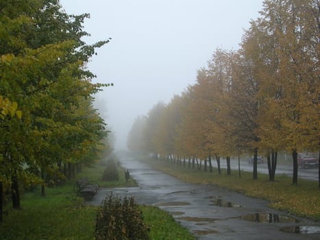 alley, october