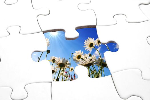 puzzle and flower showing concept for fragile nature