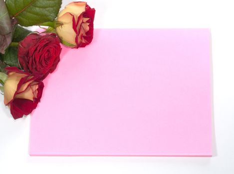 Card and roses isolated on white background 