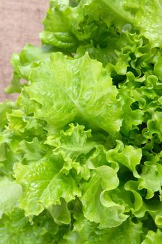 The fresh salad prepared for a dinner