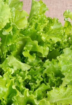 The fresh salad prepared for a dinner