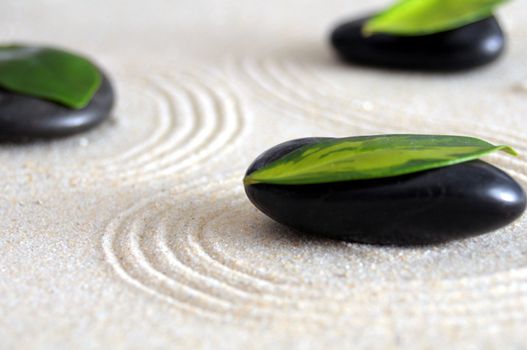 zen still life with sand and green leaf showing wellness concept