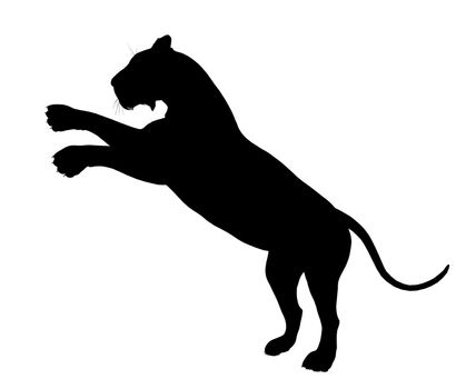 Black lion art illustration silhouette on a white background