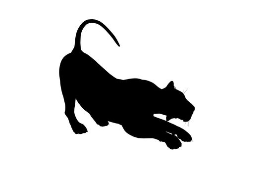 Black lion art illustration silhouette on a white background