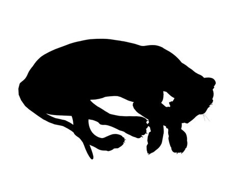 Black lion art illustration silhouette on a white background