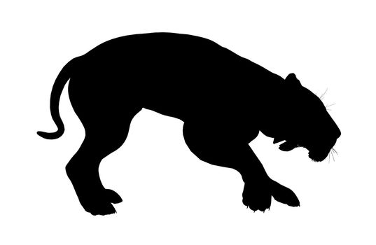 Black lion art illustration silhouette on a white background