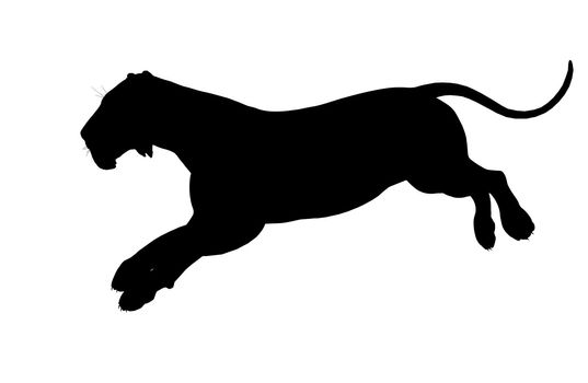 Black lion art illustration silhouette on a white background