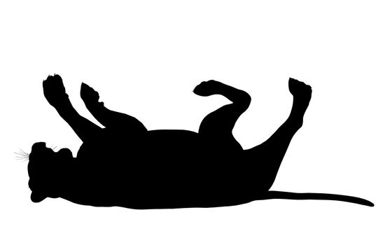 Black lion art illustration silhouette on a white background