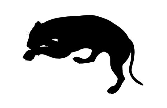 Black lion art illustration silhouette on a white background