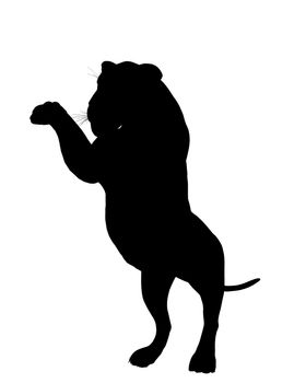 Black lion art illustration silhouette on a white background