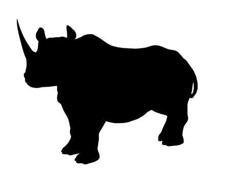 Rhinoceros illustration silhouette on a white background