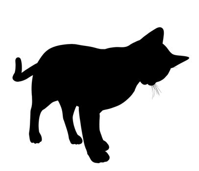 Black cat art illustration silhouette on a white background