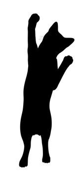 Black cat art illustration silhouette on a white background