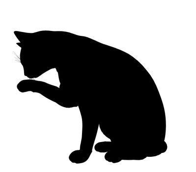 Black cat art illustration silhouette on a white background
