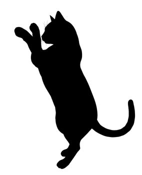 Black cat art illustration silhouette on a white background