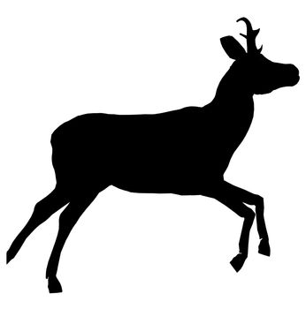 Black deer art illustration silhouette on a white background