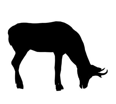 Black deer art illustration silhouette on a white background