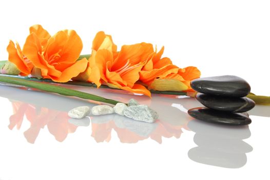 spa and bath still life with flowers and pebbles showing asian alternative medicine